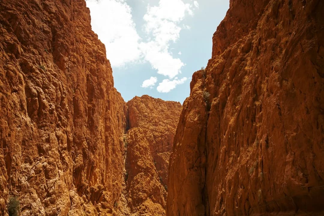 Fez to Ouarzazate and Marrakesh tour scene 4