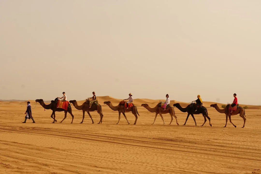 Fez to Sahara Desert Adventure related Morocco tour