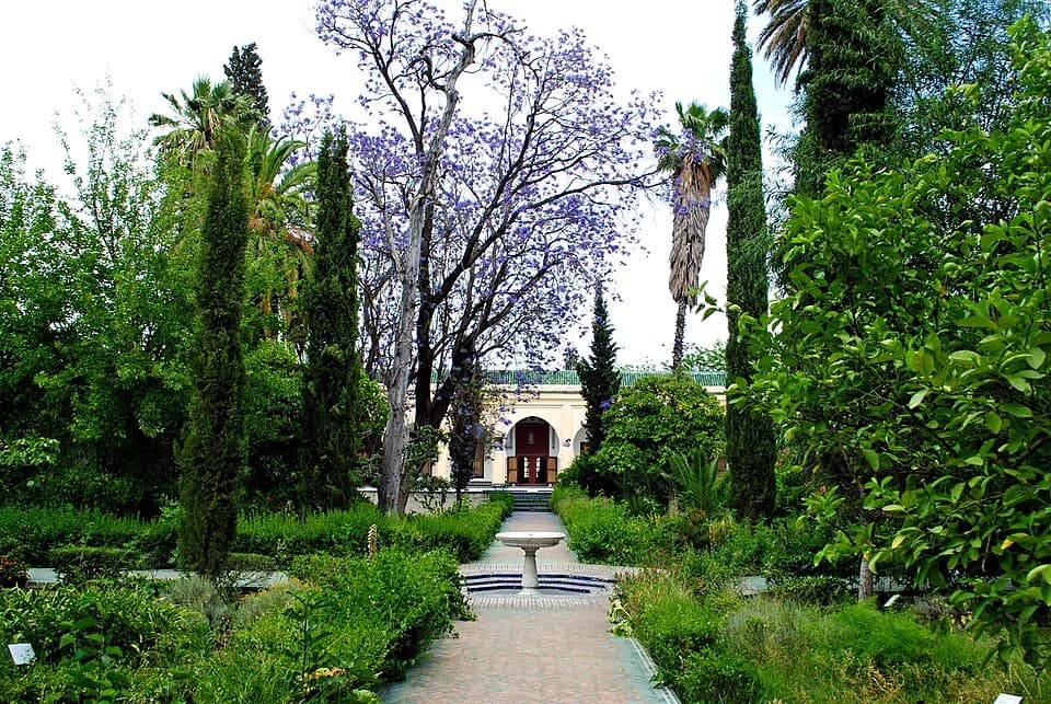 The Museums of the Medina related Morocco tour